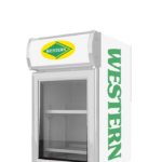 Western counter top Visi cooler (30 Liters)